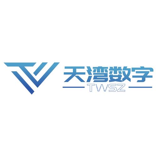 天灣數(shù)字技術(shù)股份 軟件外包服務(wù)的新標(biāo)桿